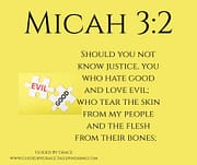 HATE GOOD AND LOVE EVIL / MICAH 3:2