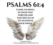 IN THE SHELTER OF YOUR WINGS / PSALMS 61:4