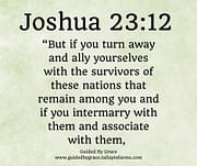 ALLY YOURSELVES WITH THESE NATIONS / JOSHUA 23:12