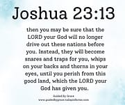 YOU MAY BE SURE / JOSHUA 23:13