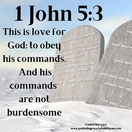 1 John 53