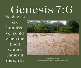 Genesis 76