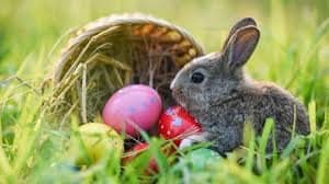 Easter bunny