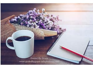 Guided-By-Grace-www.guidedbygrace.tailspinfarms.com-1