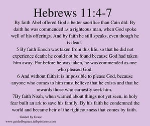 Hebrews-114-7