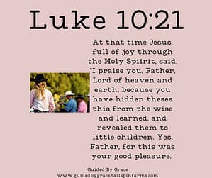 Luke 1021