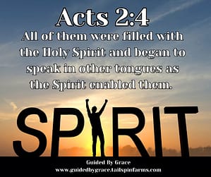 Acts-24