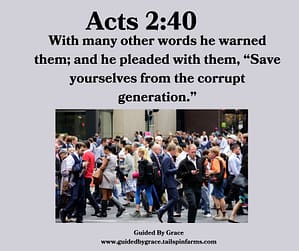 Acts-240