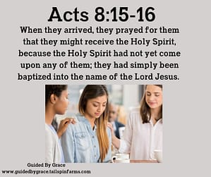 Acts 815-16