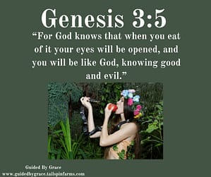 Genesis-35