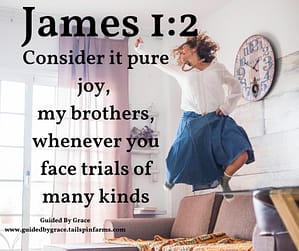 James 12