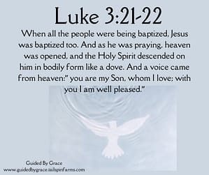 Luke-321-22