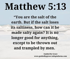 Matthew 513