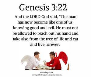 Genesis-322