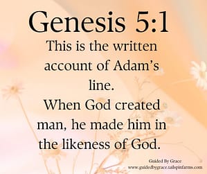 Genesis 51