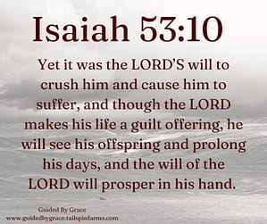 Isaiah 5310