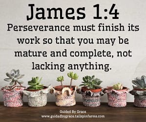 James-14