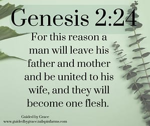 Genesis 224