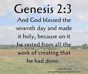 Genesis 23