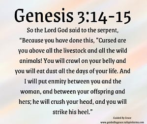 Genesis 315