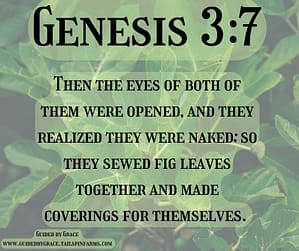 Genesis 37