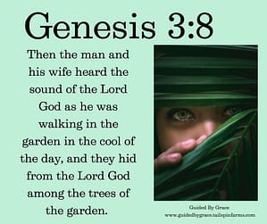 Genesis 38