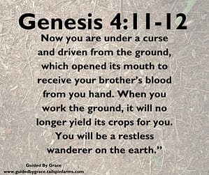 Genesis 411