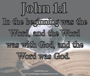 John 11