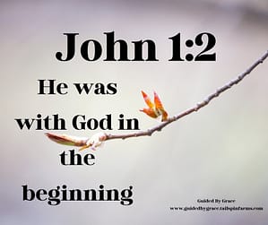 John 12