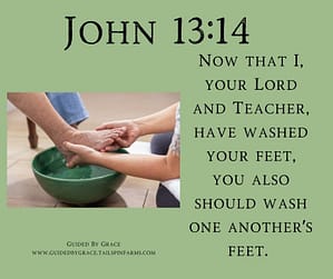 John 1314