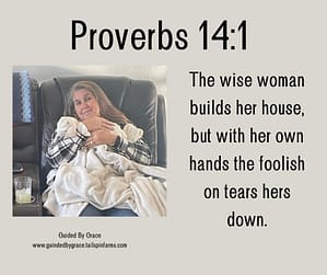 Proverbs 141