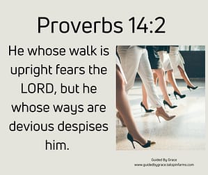 Proverbs 142
