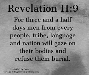 Revelation 119