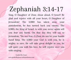 Zephaniah 317