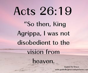 Acts 2619
