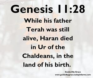 Genesis 1128