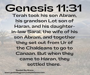 Genesis 1131