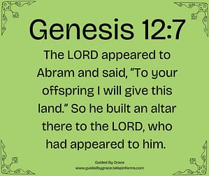 Genesis 127