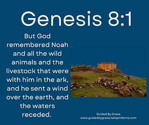 Genesis 81