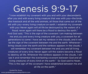 Genesis 99-17