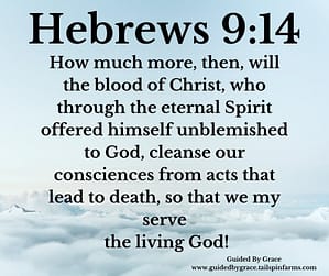 Hebrews 914
