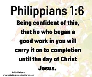 Philippians 16