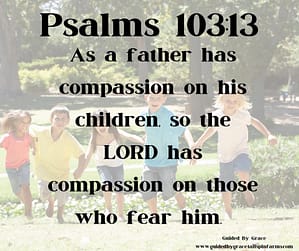 Psalms 10313