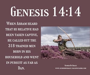 Genesis 1414