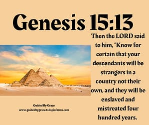 Genesis 1513