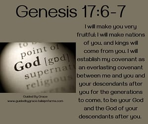 Genesis 176-7