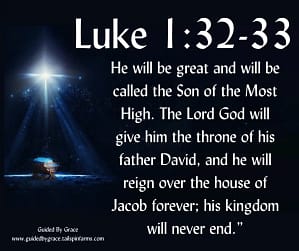 Luke 132 (1)