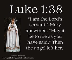 Luke 138