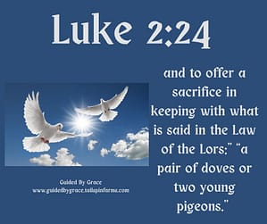 Luke 224