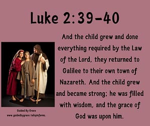 Luke 240